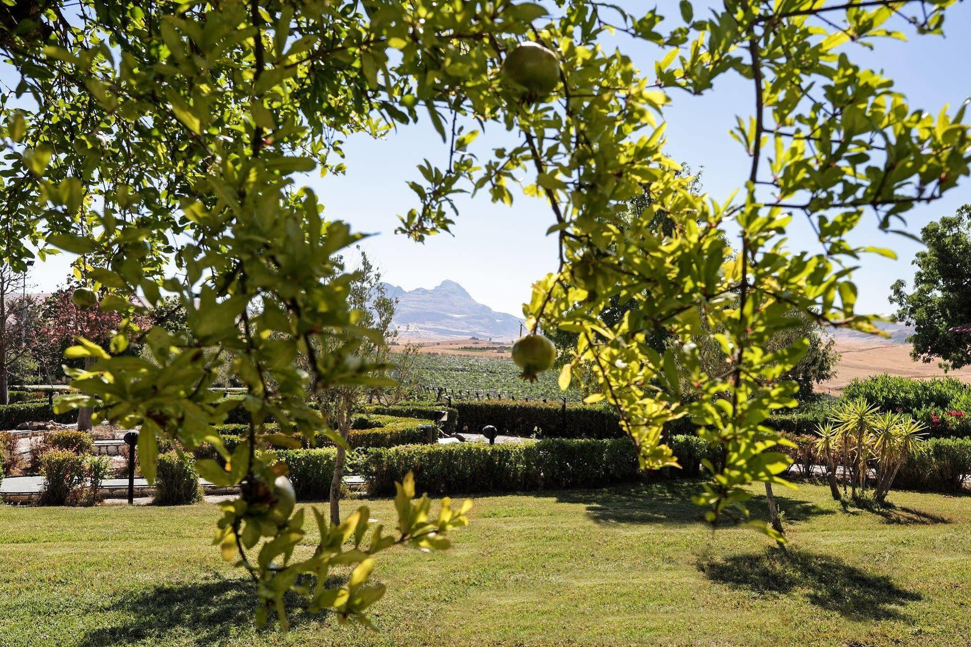 Agriturismo Tenute Pollara Roccamena Exteriör bild